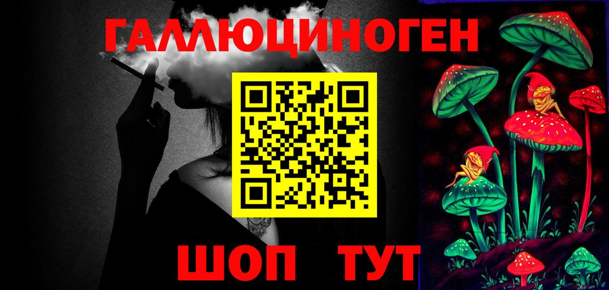 Галлюциногенные грибы Cubensis  Вход с VPN  Рассказово 