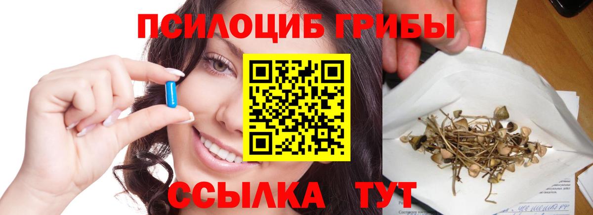 Галлюциногенные грибы MAGIC MUSHROOMS Рассказово